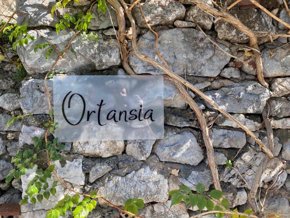 Apartament Ortansia Dimitsana Zewnętrze zdjęcie